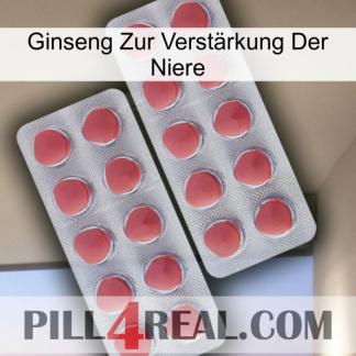 Ginseng Zur Verstärkung Der Niere 19